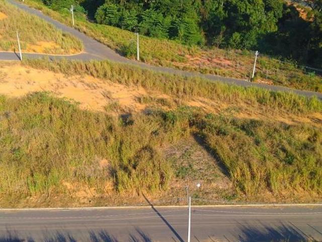 Terreno
