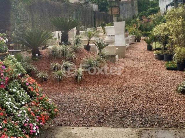 Terreno, 439.5 m², em Boa Vista