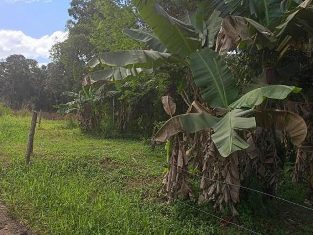 Terreno, 4.000 m², à venda por R$ 230.000 Barrei