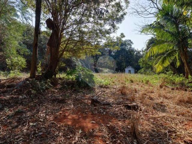 Terreno 4.069m² de terreno á venda em Chácara Flora, São Paulo