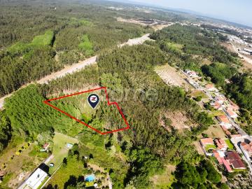 Terreno | 4.160m2 | Cantanhede | Oportunidade |