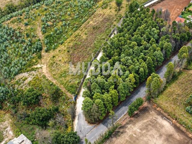 Terreno 4.683 m² com 100m de Frente | A 10 min. de Aveiro