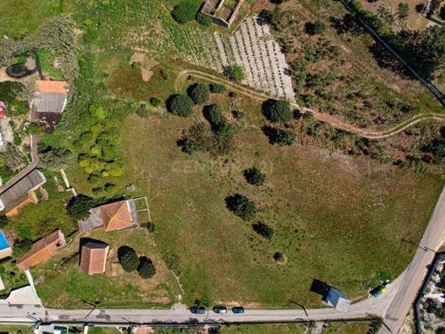 Terreno 4 910m2 | Nadadouro | Caldas da Rainha