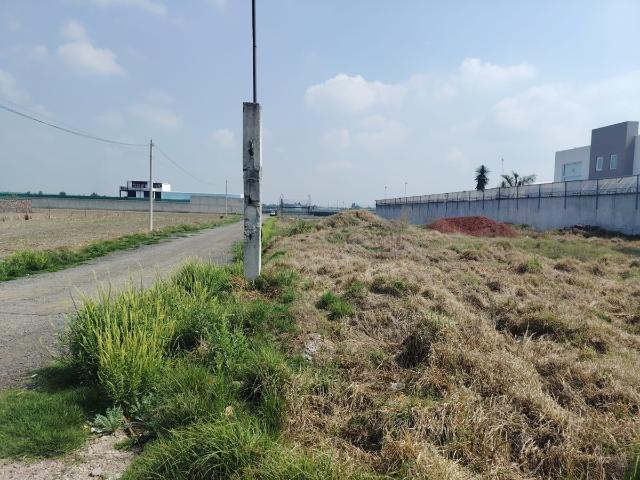 Terreno