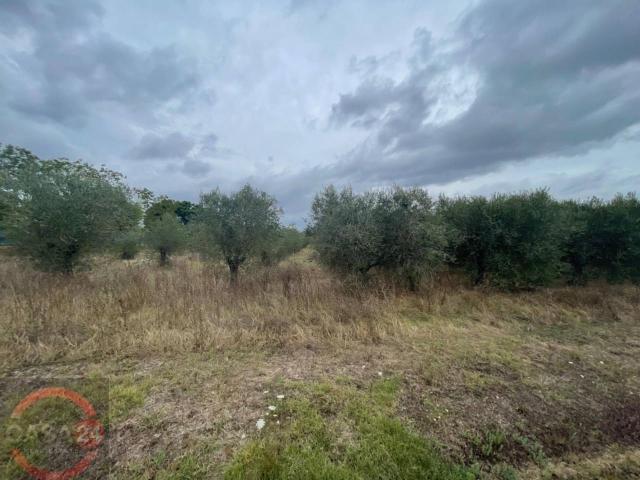 Terreno 5860mq