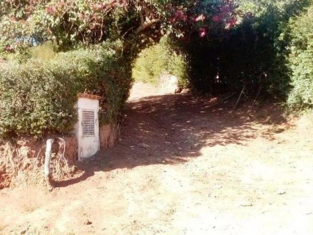 Terreno