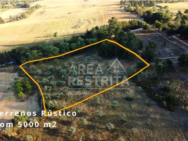 Terreno 5000 m2 Canha com viabilidade de construção 500 m2