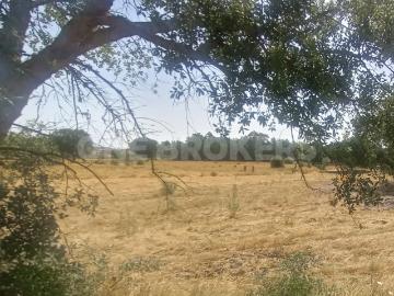 Terreno 5270m2 p/Construção de Moradias