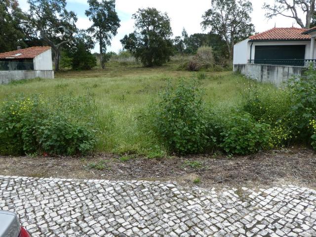 Terreno 500m p/ Moradia Condeixa