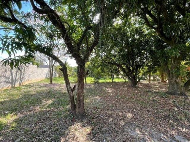 Terreno, 522 m² venda por R$ 426.000,00 ou aluguel por R$ 2.000,00/mês Chacara Letonia Americ