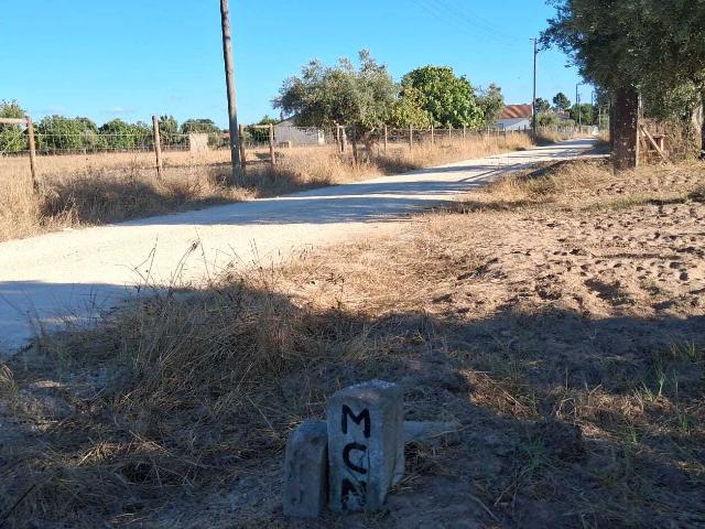 Terreno 5320 m2 – Glória do Ribatejo – Salvaterra de Magos