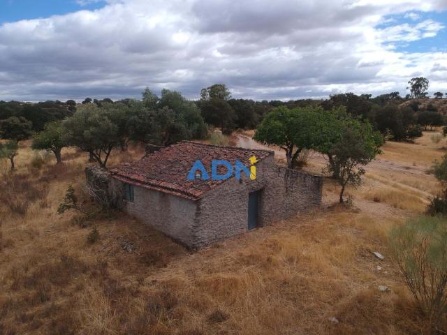 Terreno 5,2 hectares para venda