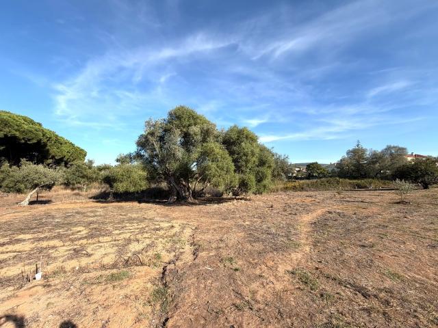 Terreno 5.750 m² na Arrábida | Natureza e tranquilidade