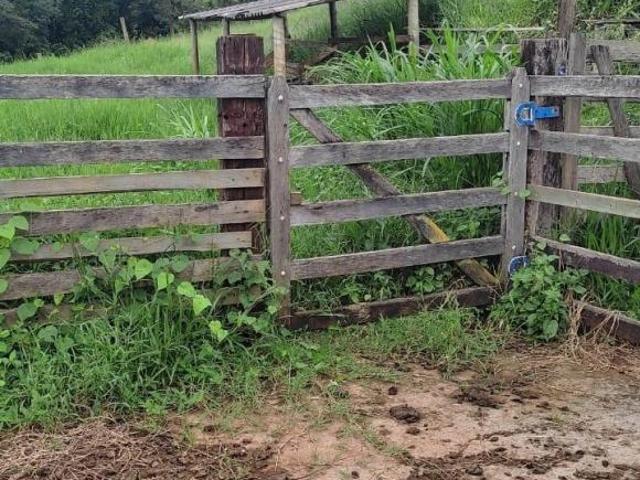 TERRENO 5 HECTARES C/ ÓTIMA NASCENTE E BOA TOPOGRAFIA À VENDA EM ENTRE RIOS/MG