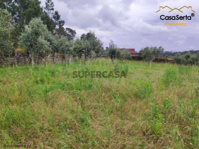 Terreno