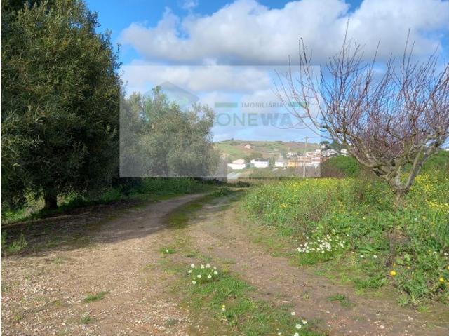 Terreno 64562m2 Azueira Malveira