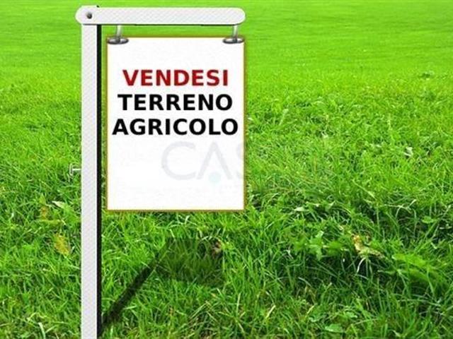 Terreno 6600mq
