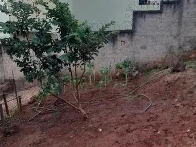 Terreno