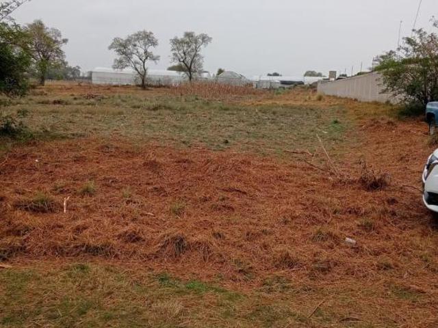 Terreno