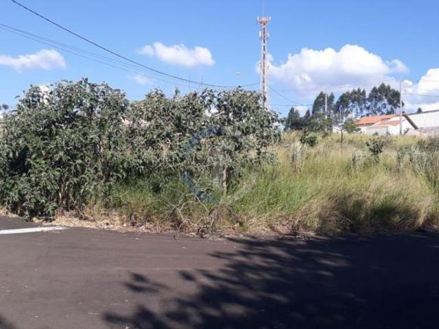 Terreno