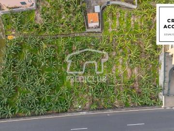Terreno 600 m2 Ribeira Brava