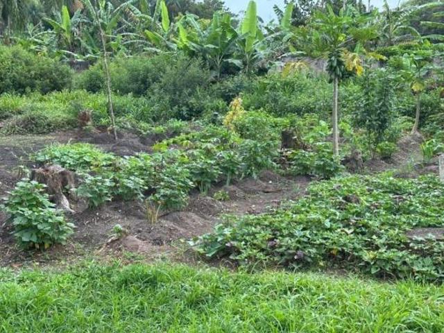 TERRENO 600 m² EM BARREIROS – MORRETES/PR