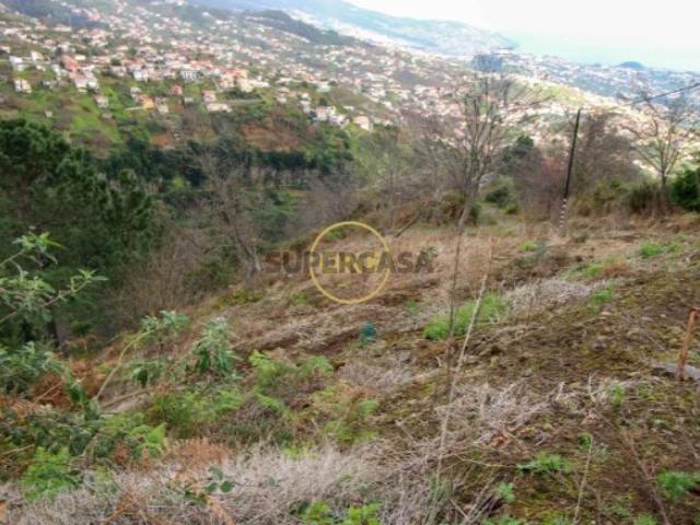 Terreno 600m2