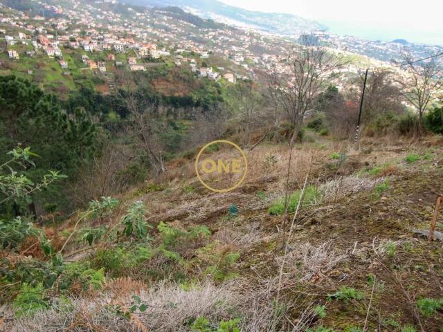 Terreno 600m2