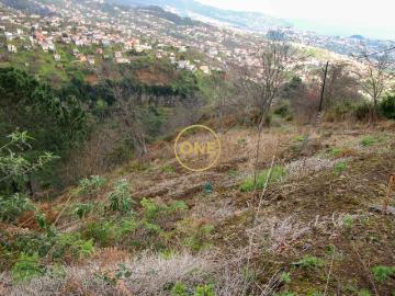 Terreno 600m2