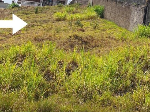 Terreno