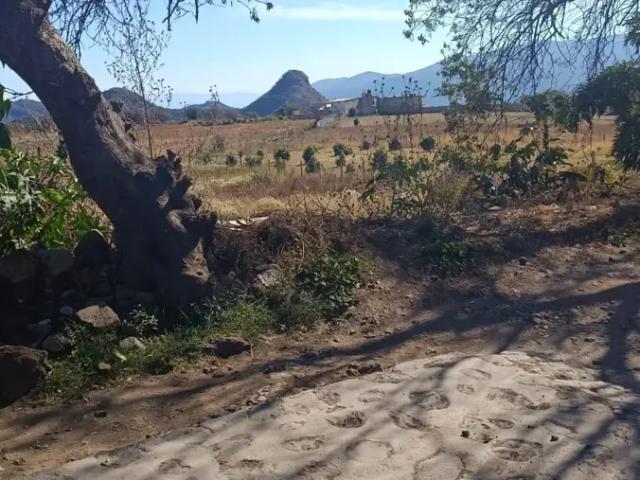 Terreno