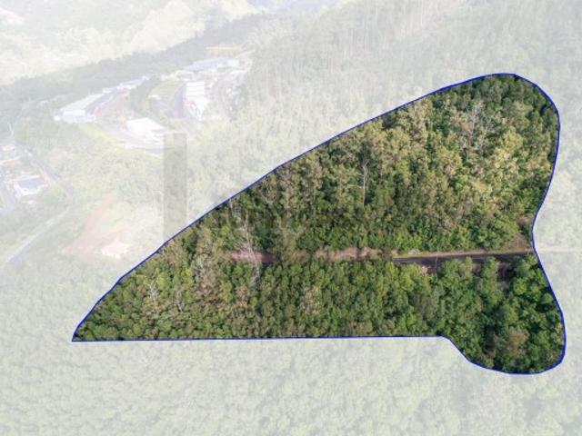Terreno 6330.78 m2, Campanário, Ribeira Brava