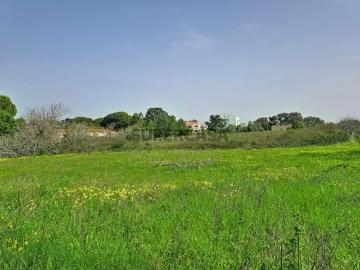 Terreno 6.250 m² | 12 Fogos + Serviços | Sesimbra