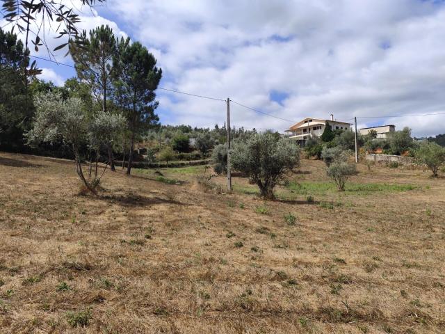 Terreno 6.253 m² | limite com o Rio Ceira | Serpins, Lousã