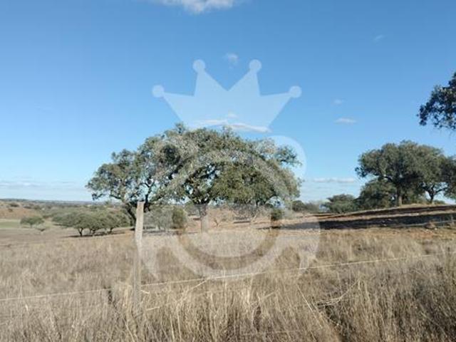 Terreno 6,2 ha