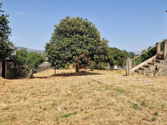 terreno