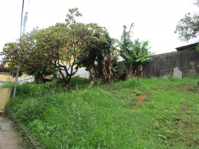 TERRENO / 770 MTS / 03 CASAS / V. MANGALOT / PIRITUBA / BOM PARA INVESTIDOR