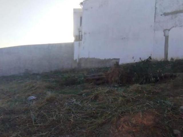 Terreno