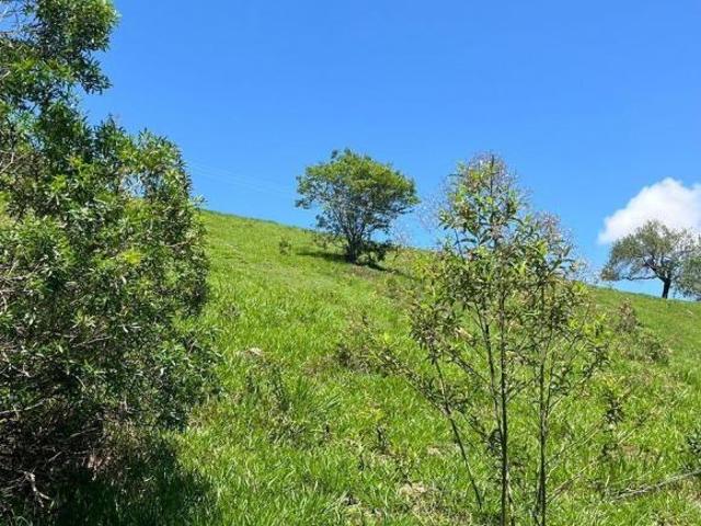 Terreno para venda em Centro, Camanducaia