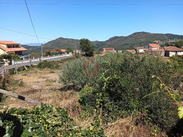 Terreno