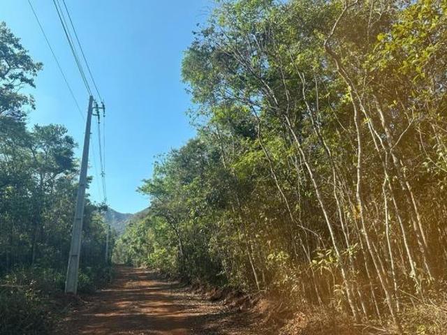 Terreno