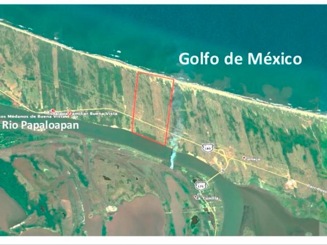 Terreno 78 hect?reas Alvarado Veracruz