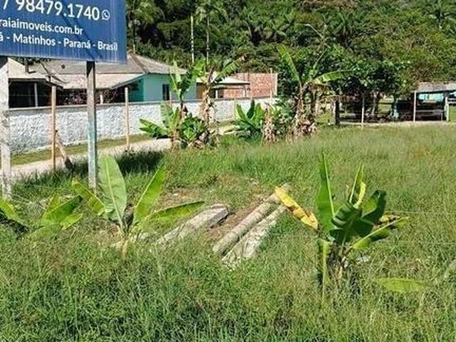 Terreno 700 m² de frente para a Alexandra/ Matinho