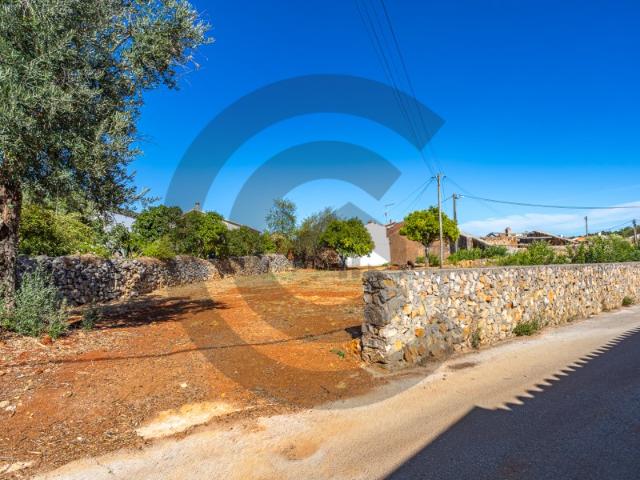 Terreno