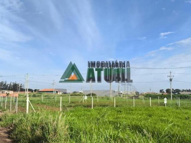 Terreno