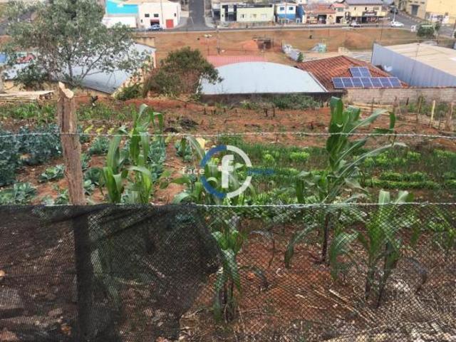 Terreno
