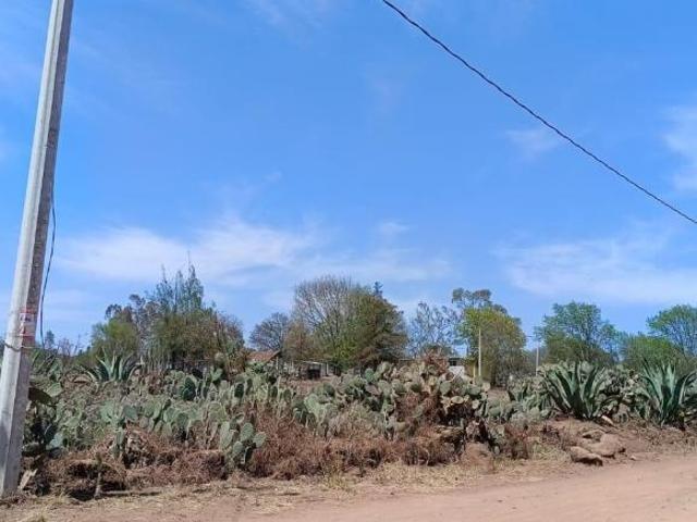 TERRENO 720 m en Acatlán Hidaldo