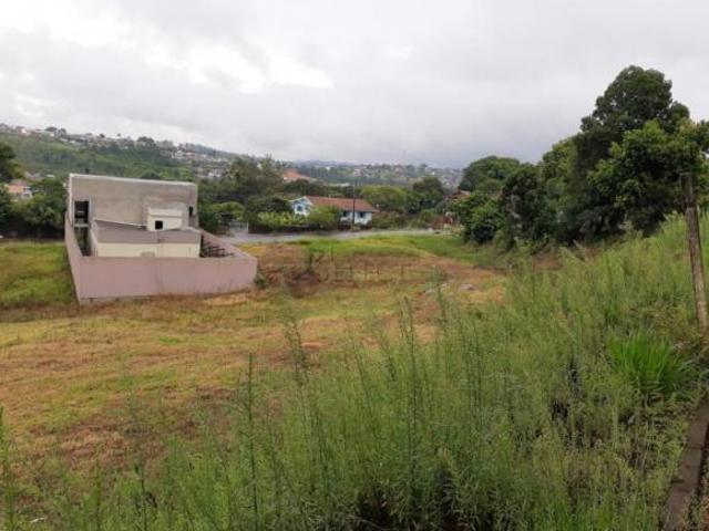 Terreno
