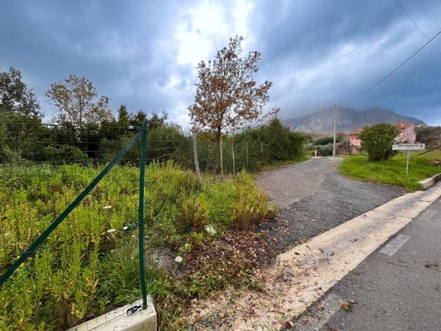 Terreno 7287mq