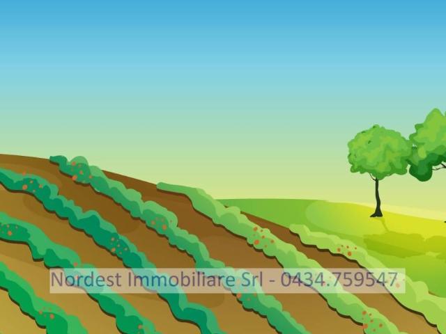 Terreno 7330mq